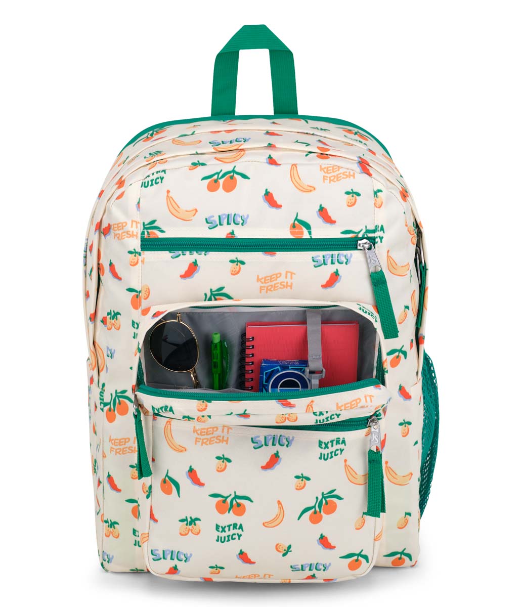 Jansport cactus backpack best sale