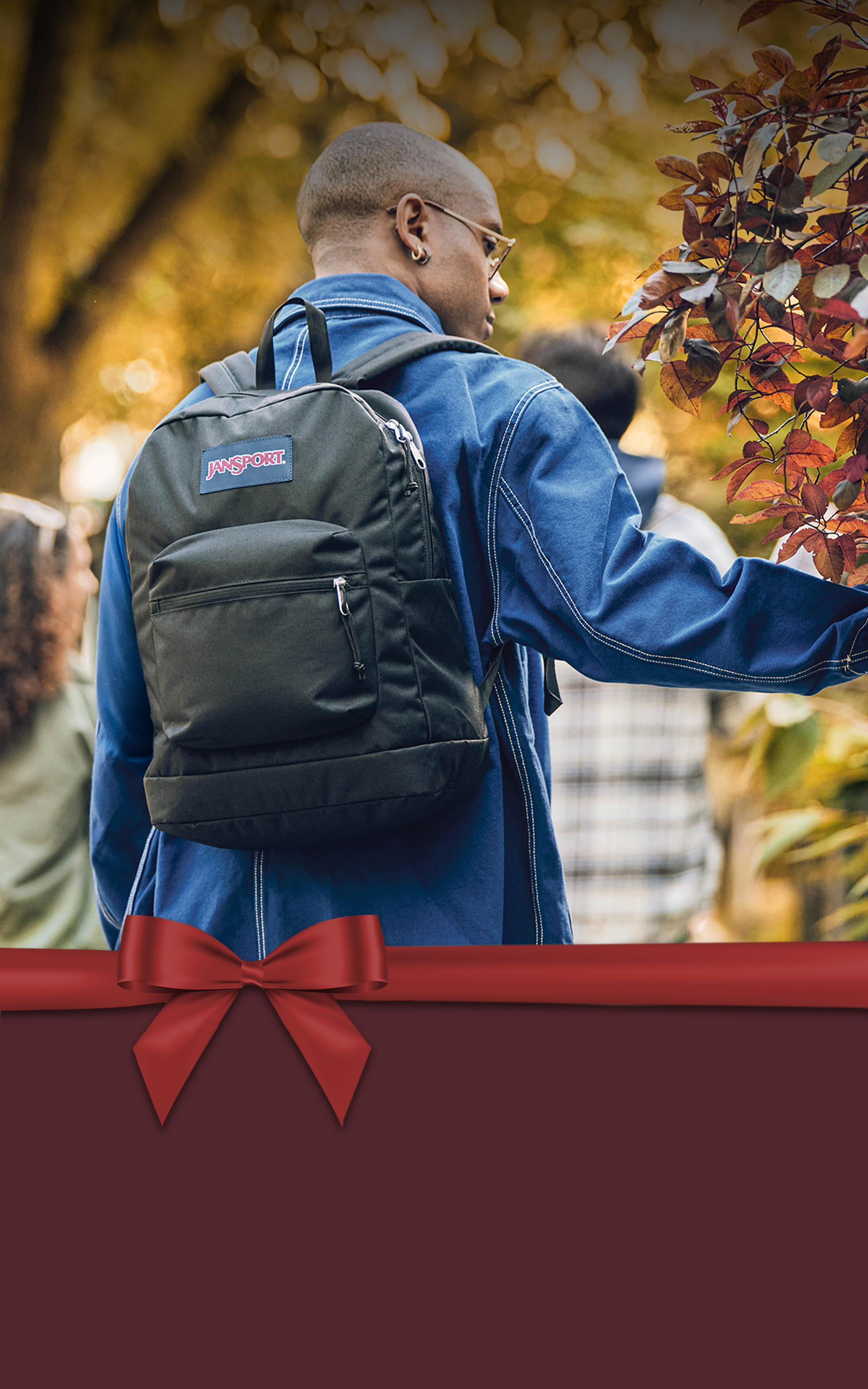 JanSport EU Backpacks Bags 30 Year Guarantee JanSport Europe EU